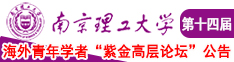 无码嫩逼南京理工大学第十四届海外青年学者紫金论坛诚邀海内外英才！